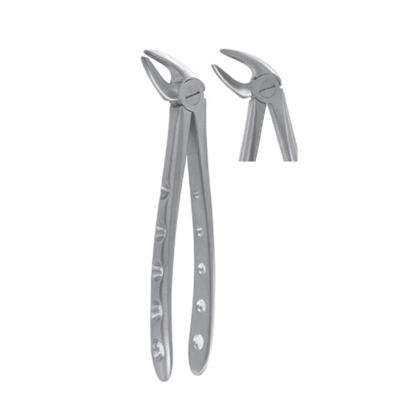 Extracting Forcep