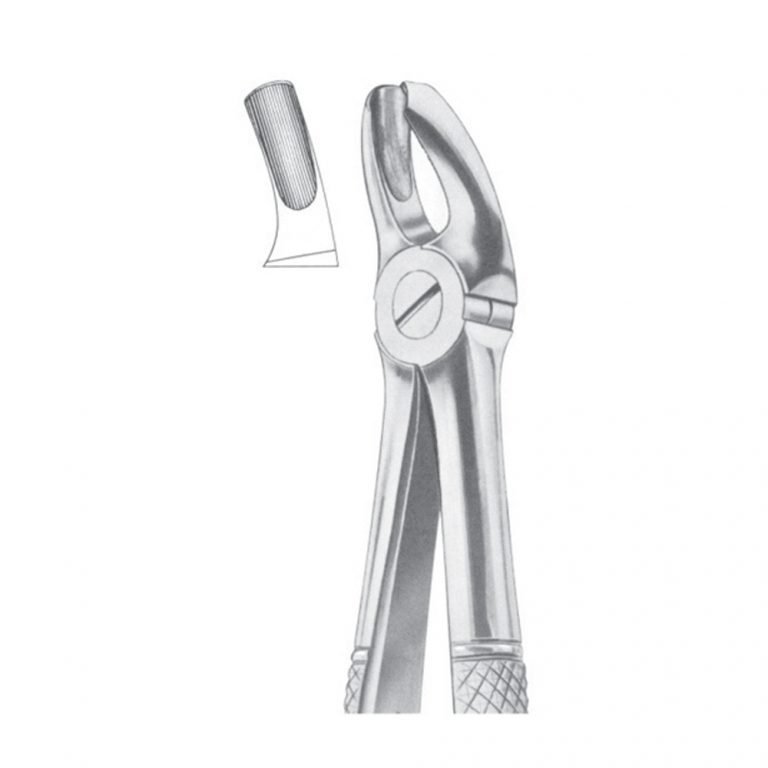Fig. 18 Upper Molars, Left