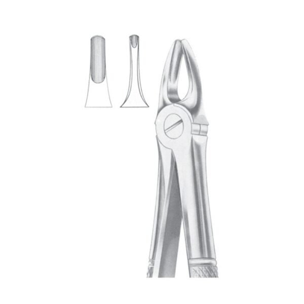 Fig. 3 Upper Incisors & Canines