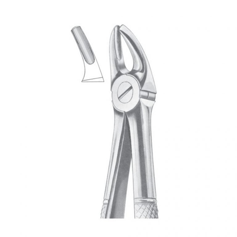 Fig. 7 Upper Premolars