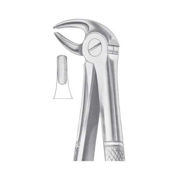 Fig. 13 Lower Premolars