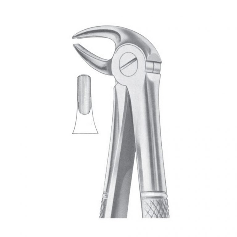 Fig. 13 Lower Premolars