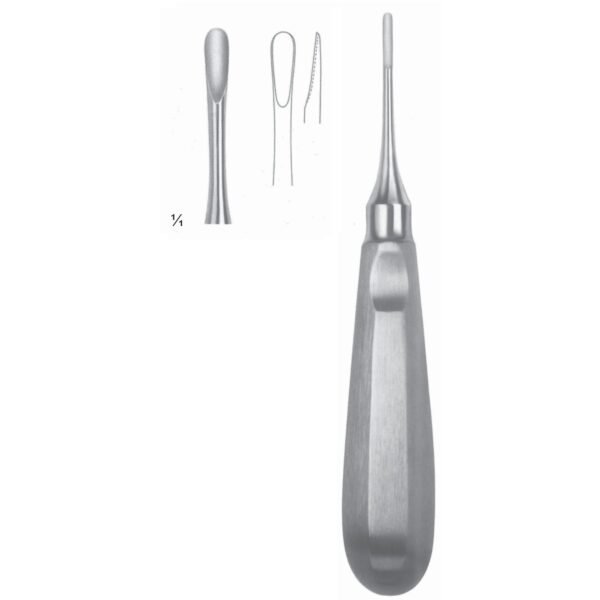 Apical Root Elevators