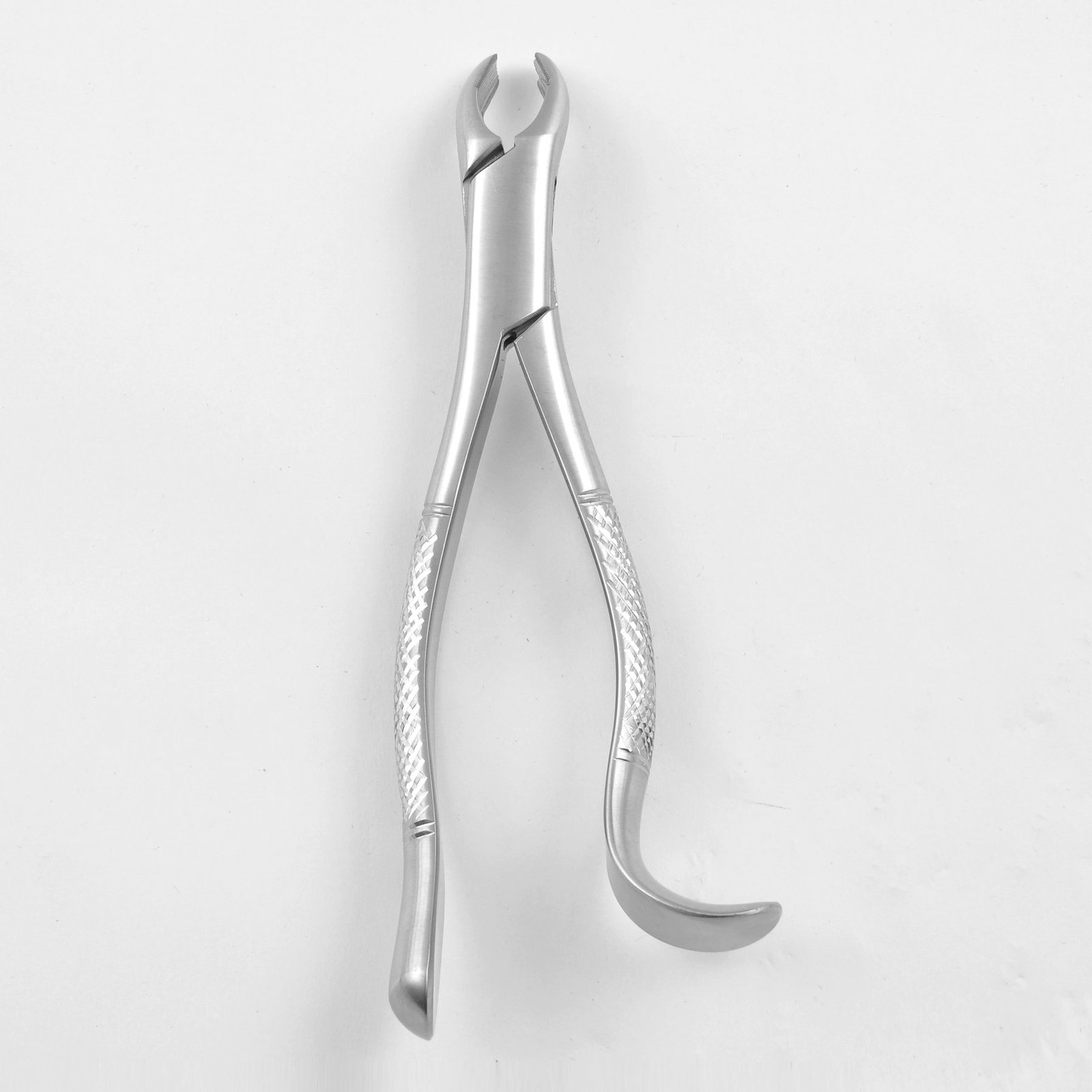 2 18R Harris 1st & 2nd Upper Molar Right