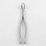 53R 1st & 2nd Upper Molar Right