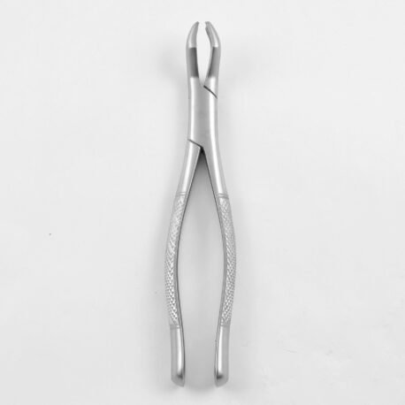 53R 1st & 2nd Upper Molar Right