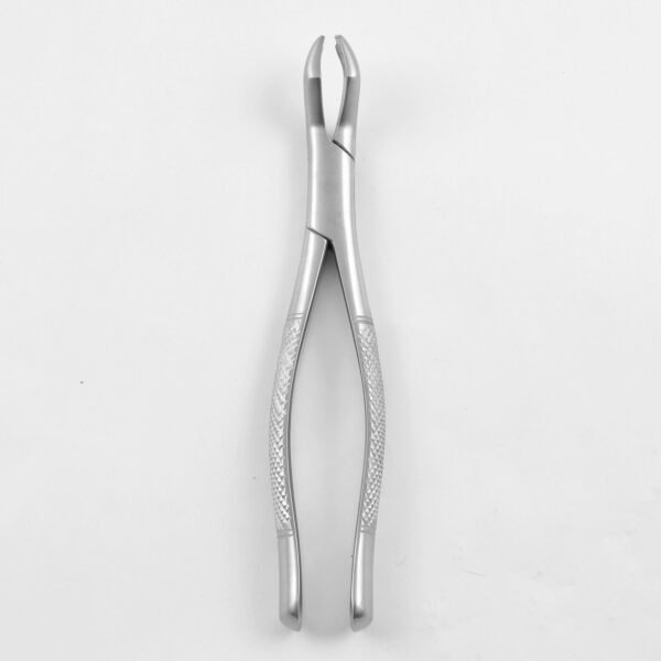 53R 1st & 2nd Upper Molar Right