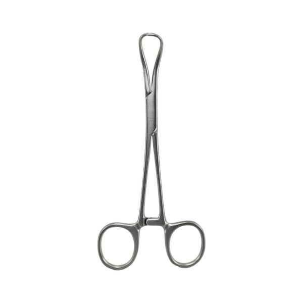 Backhaus Towel Forceps